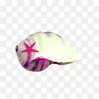 白色海螺粉色海星