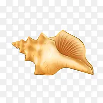 海洋贝壳海螺装饰元素