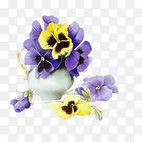 紫色和黄色的花朵