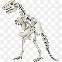 卡通恐龙骨架