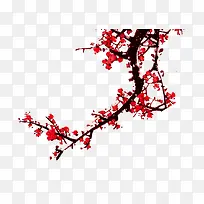 中国风红色的梅花