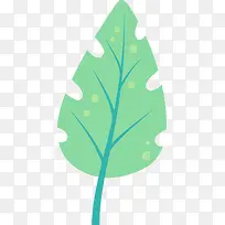 热带植物棕榈叶素材图