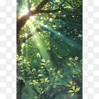 树叶间照射的阳光海报背景