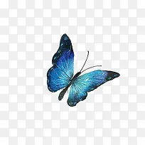 水彩精美蓝色蝴蝶