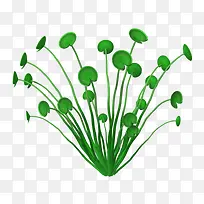 手绘绿色小草
