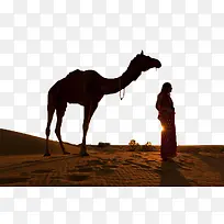 荒漠下的骆驼人物