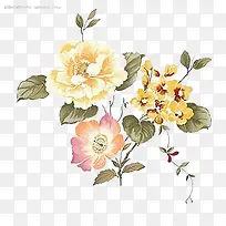 水粉手绘芙蓉花
