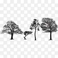 黑白线稿剪影树形状