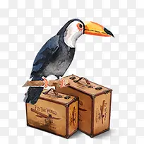 免抠卡通木头盒子上站立的鸟