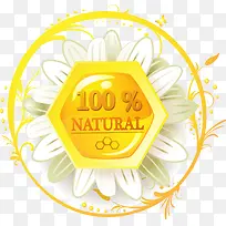 矢量蜂蜜100自然图标广告