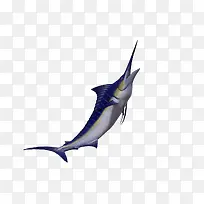 3d动物海洋素材