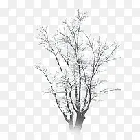 冬季下雪结冰的树木