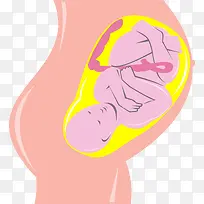 孕妇肚子里的宝宝