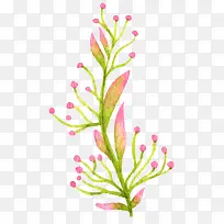 童话水墨手绘植物花卉