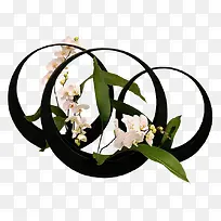 白色蝴蝶花