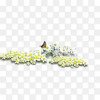 春天黄白色雏菊装饰