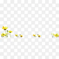 春天清新手绘黄色雏菊