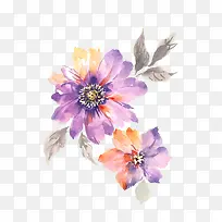 手绘水彩紫色花朵
