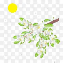 月下梨花