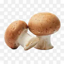 高清口蘑蘑菇