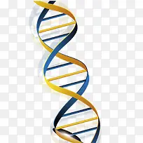 DNA双螺旋结构图
