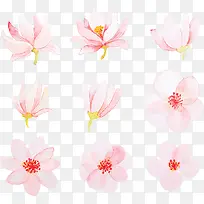 粉色水彩手绘春花