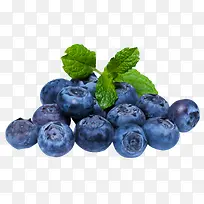 蓝莓食物