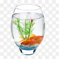 装饰图案水草和鱼在长条鱼缸里