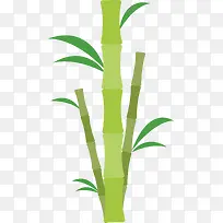 绿色美容会馆竹子