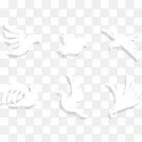 立体雏鸟