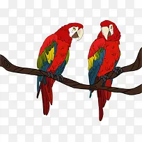 矢量树枝上的红色鹦鹉