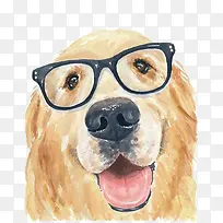 金毛犬