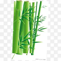 清新竹林风光手绘