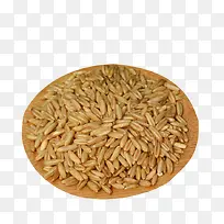 晾晒的燕麦米免抠素材