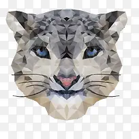 猫咪晶格化