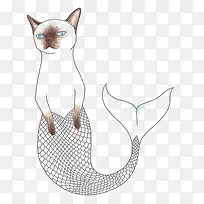 猫咪