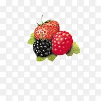 草莓和野莓
