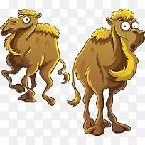 两个骆驼