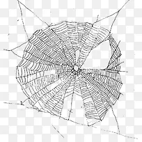 网状手绘蜘蛛网图片