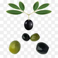 带绿色枝叶的黑色油橄榄