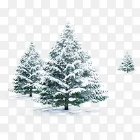 树木白茫茫冬季雪景