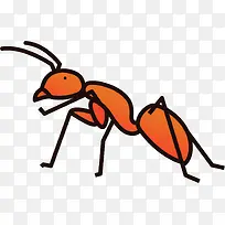 直立的蚂蚁