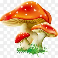 卡通清新精美蘑菇