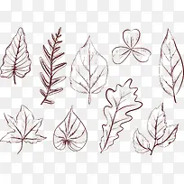 手绘植物