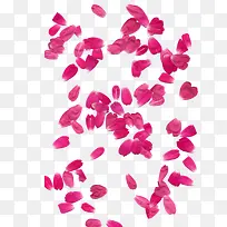 花瓣漂浮