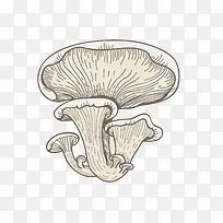 卡通手绘小清新的蘑菇PNG