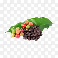红色咖啡果和咖啡豆在叶子上