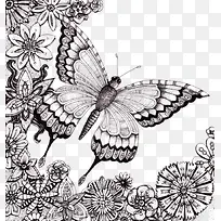 精致的手绘蝴蝶