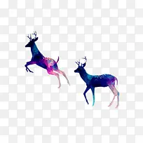五彩斑斓的鹿