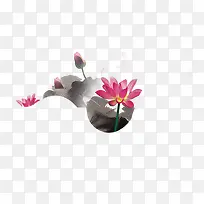中国画风荷塘花色